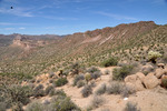 photo thumbnail #5