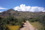photo thumbnail #1