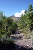 photo thumbnail #5