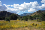 photo thumbnail #9