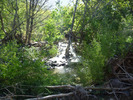 photo thumbnail #2
