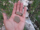 photo thumbnail #2
