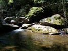photo thumbnail #10