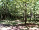 photo thumbnail #11