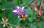 photo thumbnail #1