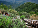 photo thumbnail #2
