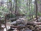 photo thumbnail #7