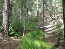 photo thumbnail #8