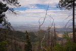 photo thumbnail #3