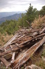 photo thumbnail #11