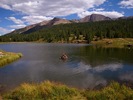 photo thumbnail #1