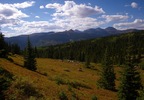 photo thumbnail #6