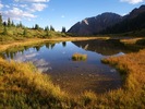 photo thumbnail #12