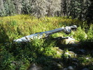 photo thumbnail #10