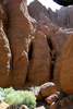 photo thumbnail #15