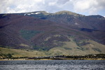 photo thumbnail #13