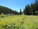photo thumbnail #6