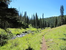photo thumbnail #7