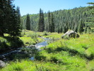 photo thumbnail #9