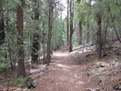 photo thumbnail #3