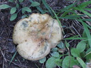 photo thumbnail #14