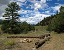 photo thumbnail #14