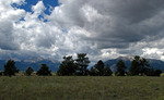 photo thumbnail #15