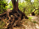 photo thumbnail #12