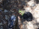 photo thumbnail #3