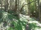 photo thumbnail #5