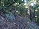 photo thumbnail #9