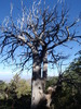 photo thumbnail #10