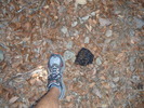 photo thumbnail #11