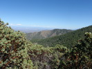 photo thumbnail #12