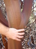 photo thumbnail #13
