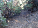 photo thumbnail #15