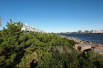 photo thumbnail #3