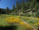 photo thumbnail #3