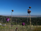 photo thumbnail #9