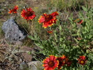photo thumbnail #11