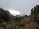 photo thumbnail #14