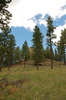 photo thumbnail #12