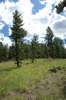 photo thumbnail #13