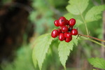 photo thumbnail #14