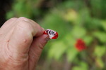 photo thumbnail #15