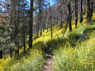 photo thumbnail #7