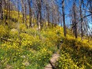 photo thumbnail #9