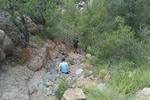 photo thumbnail #4