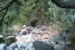 photo thumbnail #6
