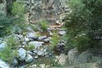 photo thumbnail #9